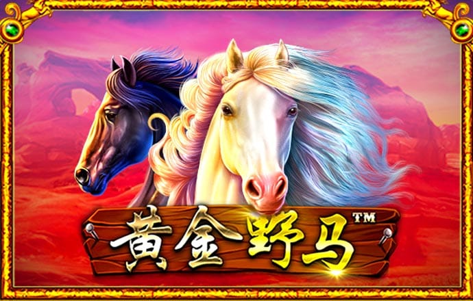 bti体育 ios